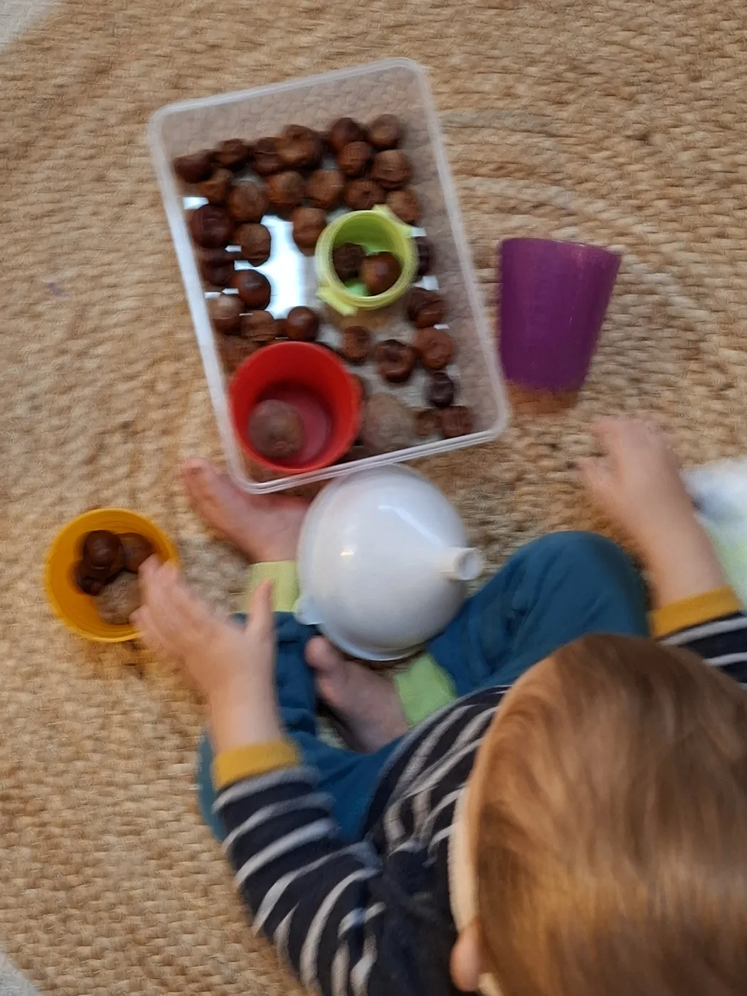 Kind sortiert Kastanien in bunte Becher